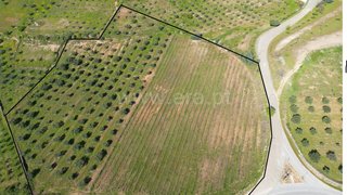 Land for sale in Vila Flor, Portugal — €59,000
