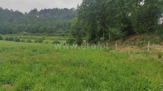 Terreno em Amares