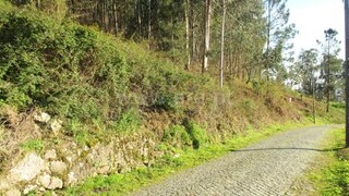 Terreno em Barcelos