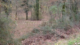 Land for sale in Fafe, Portugal — €45,000