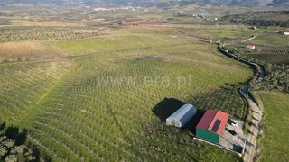 Land for sale in Vila Flor, Portugal
