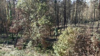 Land for sale in Fafe, Portugal — €55,000