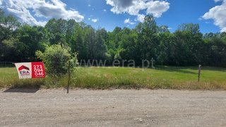 Terreno de 10 000 m² em Bragança