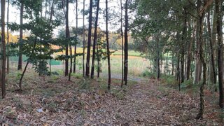 Land for sale in Barcelos, Portugal — €47,500