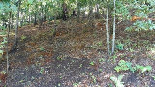 Land for sale in Amares, Portugal — €37,500
