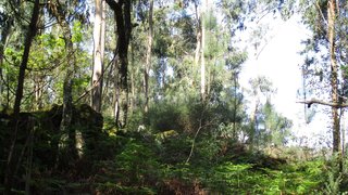 Land for sale in Esposende, Portugal — €22,500