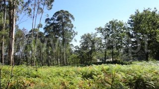 Land for sale in Fafe, Portugal