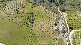 Land for sale in Mirandela, Portugal — €90,000