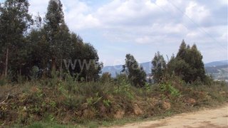 Land for sale in Cabeceiras de Basto, Portugal — €35,000