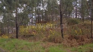 Land for sale in Celorico de Basto, Portugal