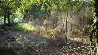 Land for sale in Fafe, Portugal — €25,000