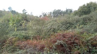 Land for sale in Fafe, Portugal — €15,000