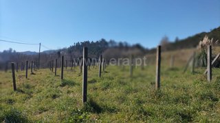 Land for sale in Guimarães, Portugal — €107,500