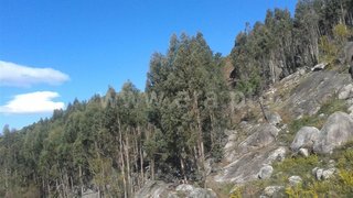 Land for sale in Póvoa de Lanhoso, Portugal — €90,000