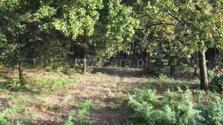 Land for sale in Fafe, Portugal — €215,000