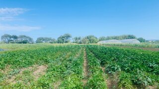 Land for sale in Esposende, Portugal — €21,000