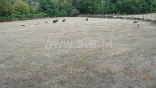 Land for sale in Vieira do Minho, Portugal — €11,500