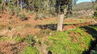 Terreno para venda em Barcelos, Portugal — 67 500 €