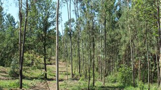 Land for sale in Barcelos, Portugal — €86,000