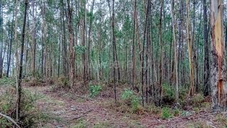 Land for sale in Vila Verde, Portugal — €22,000