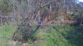 Land for sale in Fafe, Portugal — €10,000