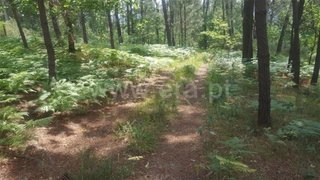 Land for sale in Fafe, Portugal — €23,500