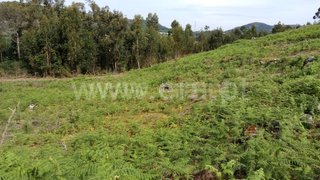 Land for sale in Guimarães, Portugal — €35,000