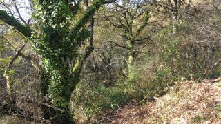 Land for sale in Vieira do Minho, Portugal — €140,000