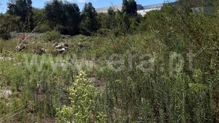 Land for sale in Vila Verde, Portugal — €236,000