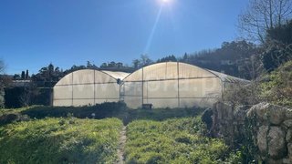 Land for sale in Fafe, Portugal — €60,000