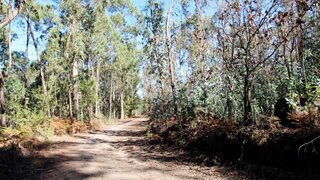 Land for sale in Barcelos, Portugal — €18,000