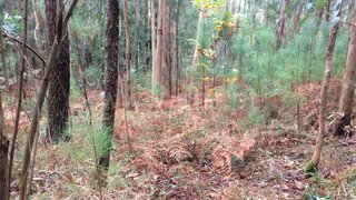 Land for sale in Barcelos, Portugal — €10,000