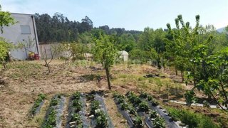 Land for sale in Cabeceiras de Basto, Portugal — €65,000
