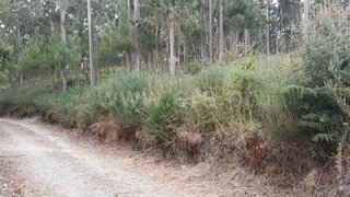 Land for sale in Barcelos, Portugal — €105,000