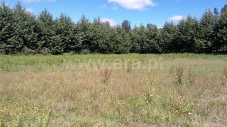 Land for sale in Fafe, Portugal — €37,500