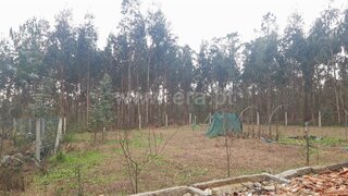Terreno para venda em Barcelos, Portugal — 28 000 €
