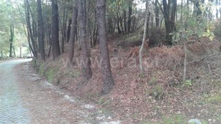 Land for sale in Guimarães, Portugal — €61,500