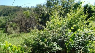 Terreno em Póvoa de Lanhoso