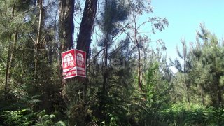 Land for sale in Barcelos, Portugal — €40,000