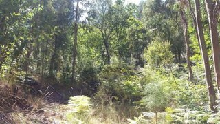 Land for sale in Cabeceiras de Basto, Portugal — €76,000