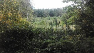 Land for sale in Fafe, Portugal — €30,000