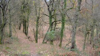Land for sale in Fafe, Portugal — €20,000