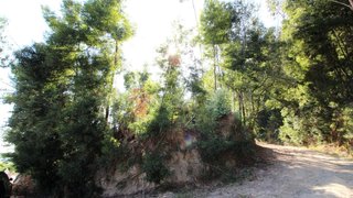 Land for sale in Barcelos, Portugal — €70,000