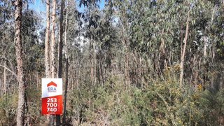 Land for sale in Fafe, Portugal — €10,000