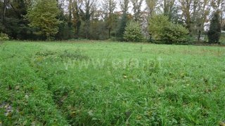 Land for sale in Fafe, Portugal — €30,000