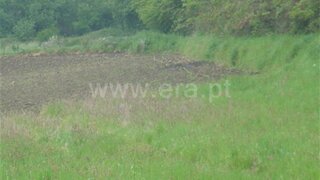 Land for sale in Celorico de Basto, Portugal — €41,200