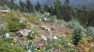 Land for sale in Terras de Bouro, Portugal — €130,000