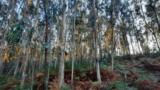 Land for sale in Póvoa de Lanhoso, Portugal — €32,500