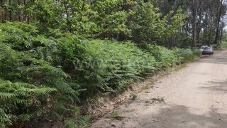 Terreno em Celorico de Basto