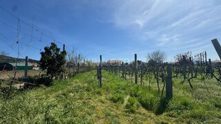 Land for sale in Guimarães, Portugal — €45,000